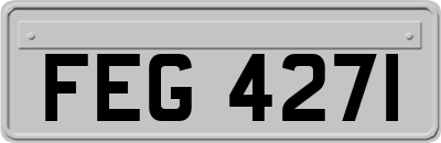 FEG4271