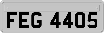 FEG4405