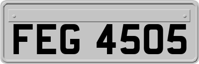 FEG4505