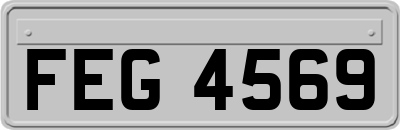 FEG4569