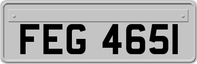 FEG4651