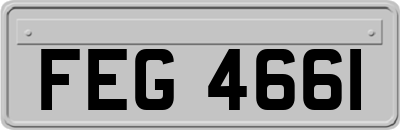FEG4661