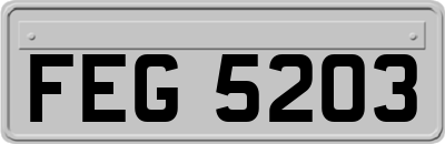 FEG5203