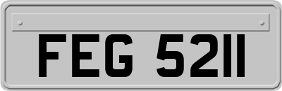 FEG5211