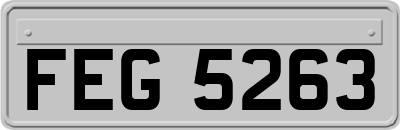 FEG5263
