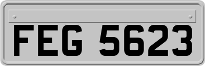FEG5623