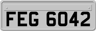 FEG6042