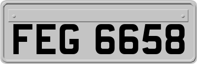 FEG6658