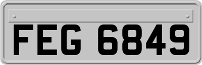 FEG6849