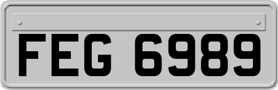 FEG6989