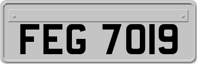 FEG7019