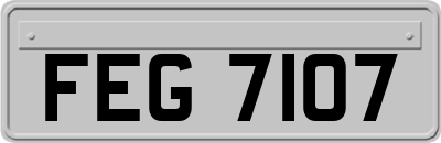 FEG7107