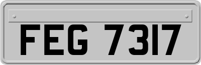 FEG7317