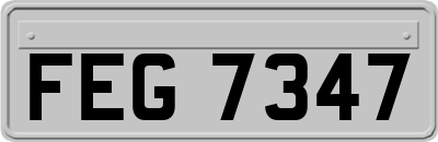 FEG7347