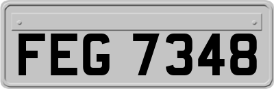 FEG7348