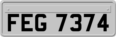 FEG7374