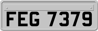 FEG7379
