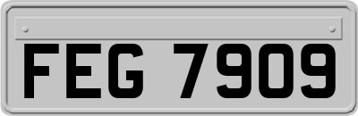 FEG7909