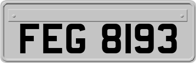 FEG8193