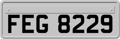 FEG8229