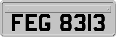 FEG8313