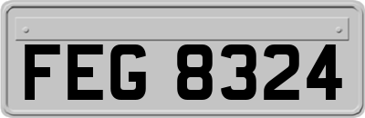 FEG8324