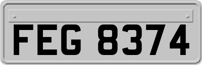 FEG8374