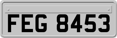 FEG8453