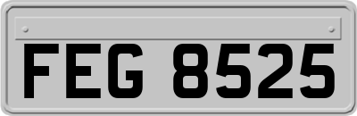FEG8525