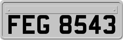 FEG8543