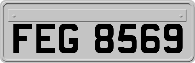 FEG8569