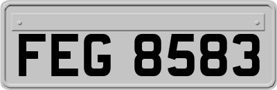 FEG8583