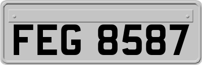 FEG8587