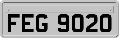 FEG9020