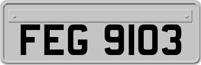 FEG9103