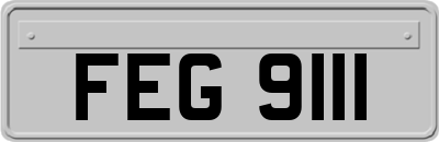 FEG9111