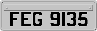 FEG9135