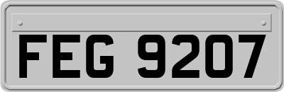 FEG9207