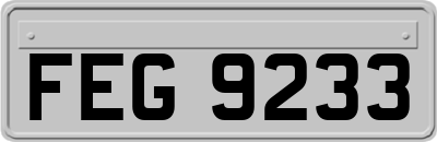 FEG9233