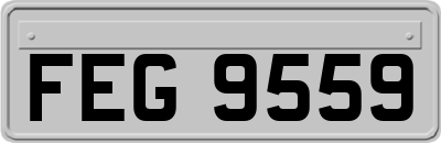 FEG9559