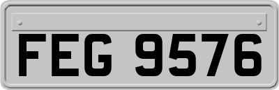 FEG9576