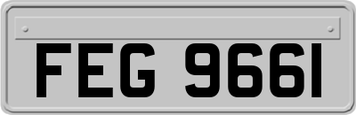 FEG9661