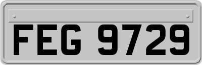 FEG9729