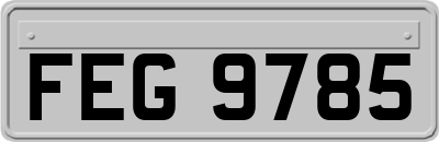 FEG9785