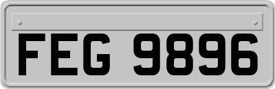 FEG9896