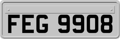 FEG9908