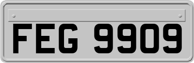 FEG9909