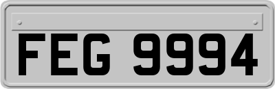 FEG9994