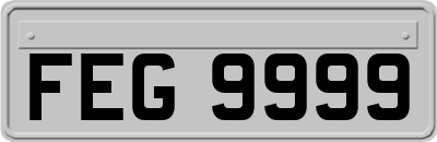 FEG9999