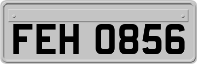FEH0856